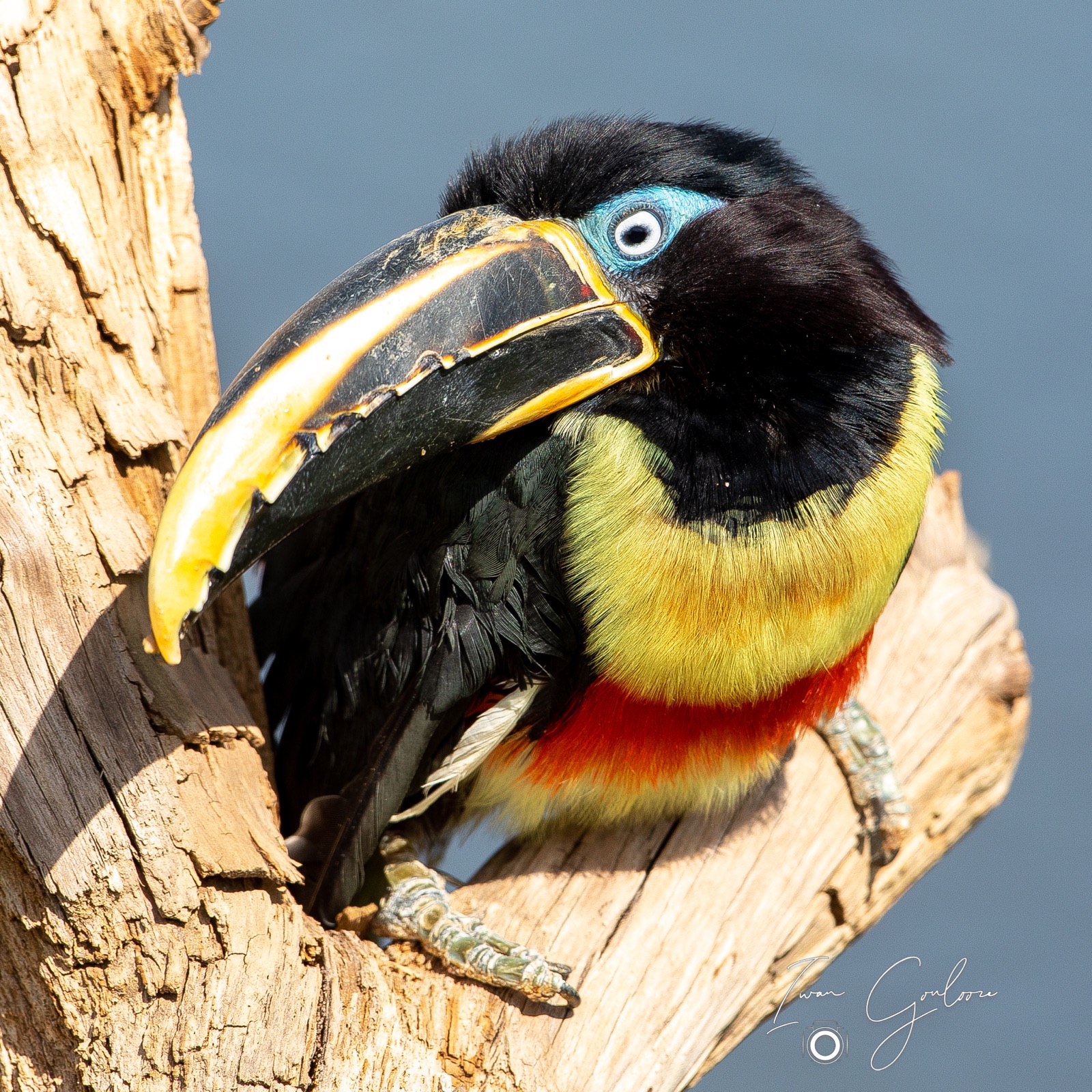 18 april 2022 121826  5D46684